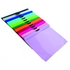 CARPETA CON PINZA 30 HOJAS CARPETA CON PINZA 30 HOJAS