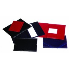 CARPETA T/C GOMAS Y SOLAPA PLASTICO