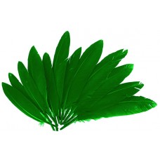 PLUMAS DE INDIO COLOR VERDE 60 UND PLUMAS DE INDIO COLOR VERDE 60 UND