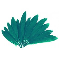 PLUMAS DE INDIO COLOR AZUL 60 UND