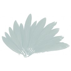 PLUMAS DE INDIO COLOR BLANCO 60 UND PLUMAS DE INDIO COLOR BLANCO 60 UND