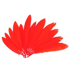 PLUMAS DE INDIO COLOR NARANJA BOLSA DE 60 UND PLUMAS DE INDIO COLOR NARANJA BOLSA DE 60 UND