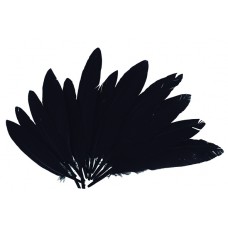 PLUMAS DE INDIO COLOR NEGRO 60 UND