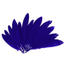 PLUMAS DE INDIO COLOR VIOLETA 60 UND PLUMAS DE INDIO COLOR VIOLETA 60 UND